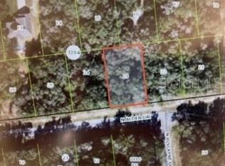 10562 N Adler Dr, Citrus Springs, FL 34434