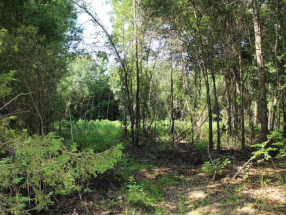 5th image of 12757 County Road 289
