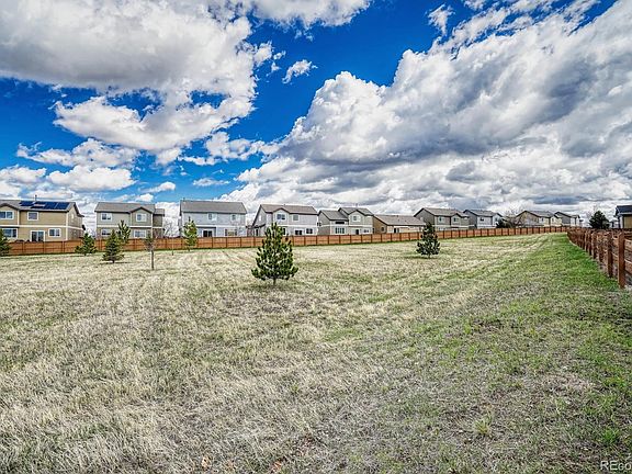 Backyard open space