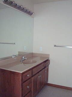 Master bath vanity