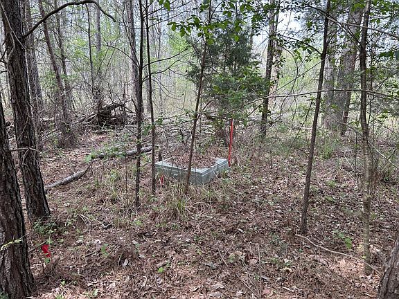 2nd image of Ron Thames Rd