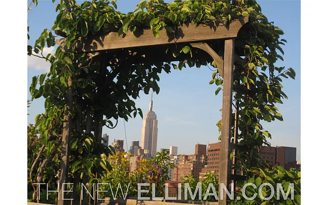 Sold by Douglas Elliman | media 22