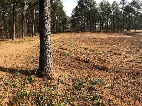 0 Pitts Rd Lot 16, Hawkinsville, GA 31036