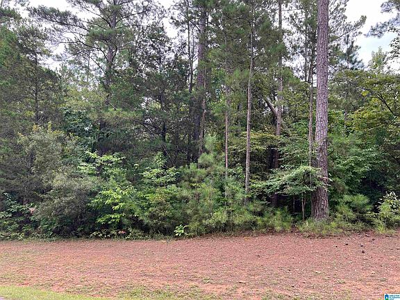 3rd image of 0 Blue Gill Dr #1