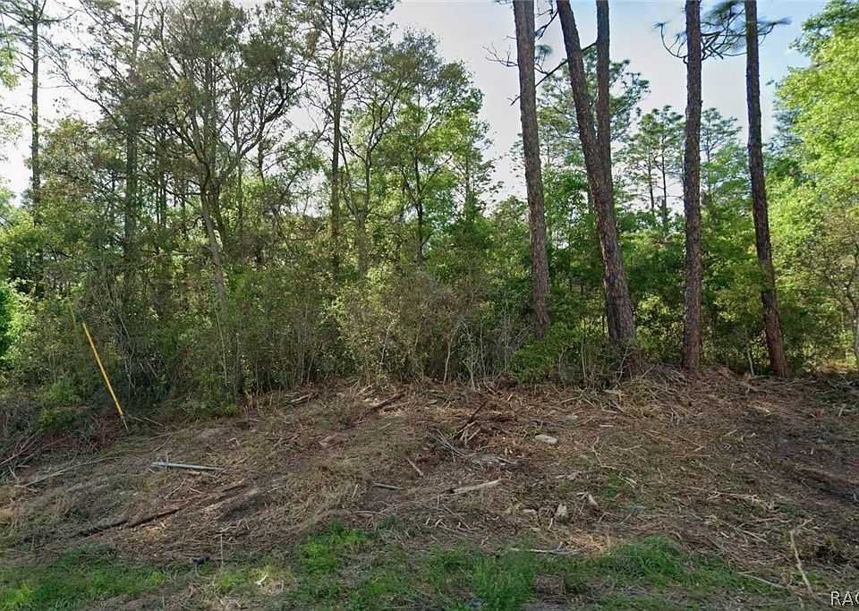 1st image of 10814 N Hatari Dr