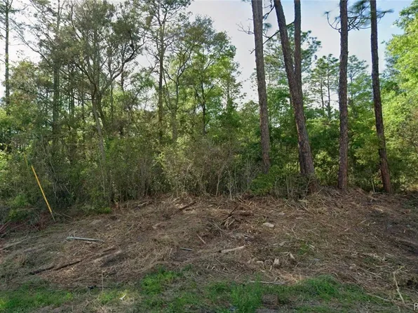 10814 N Hatari Dr, Citrus Springs, FL 34434