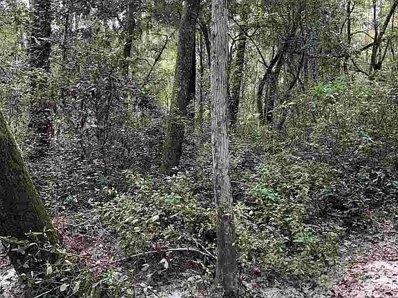 2nd image of 12551 River Creek Dr