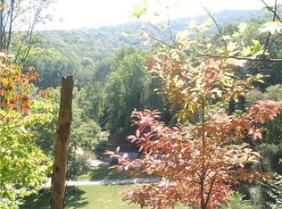 450 Curtis Creek Rd, Candler, NC 28715