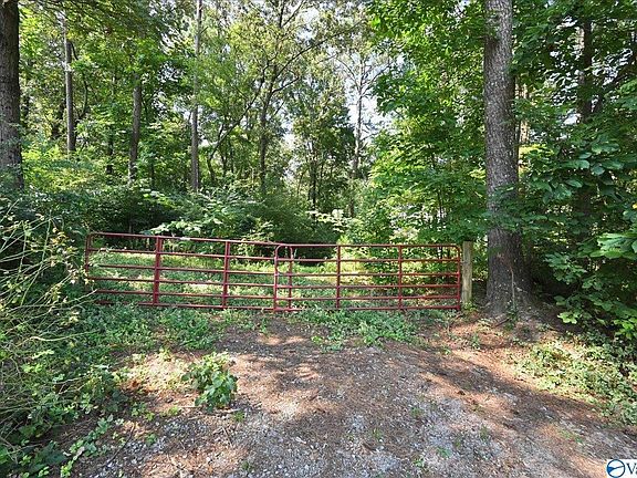 4th image of 0 County Road 1651