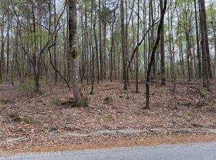 4.2 Camp Talisi Rd, Eclectic, AL 36024