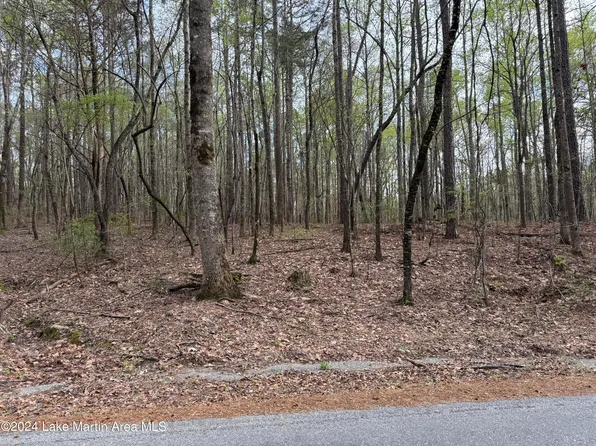 4.2 Camp Talisi Rd, Eclectic, AL 36024