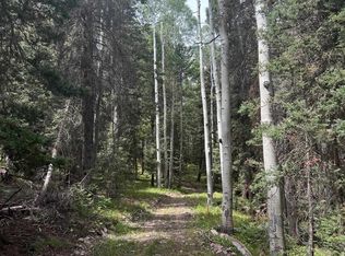 427 Juniper Dr, Cimarron, CO 81220