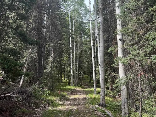 427 Juniper Dr, Cimarron, CO 81220