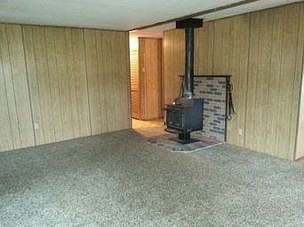 wood burning fire stove