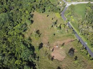 1 Calle, Caguas, PR 00725