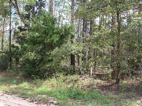 2nd image of Hicks Lake Ln