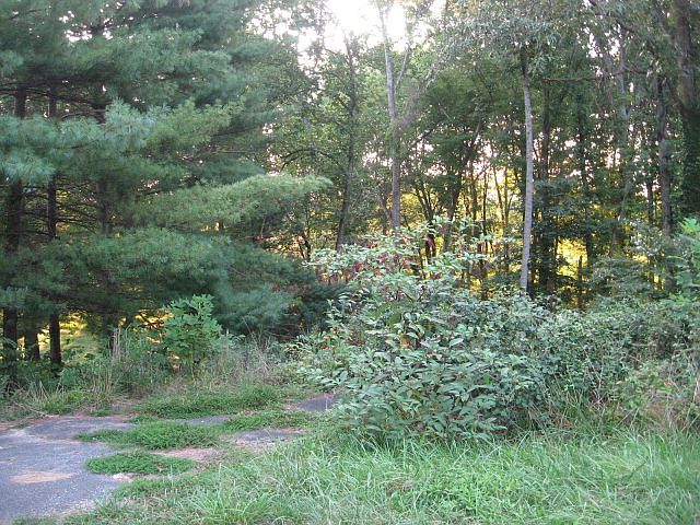 1st image of 2919 Finch Dr