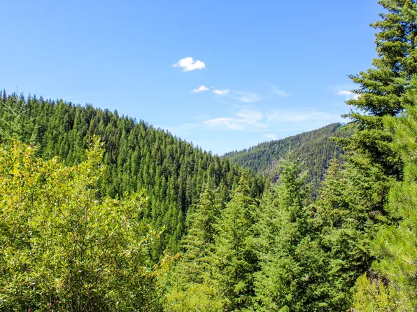 TRACT 1 Pardee Flat Rd, Superior, MT 59872