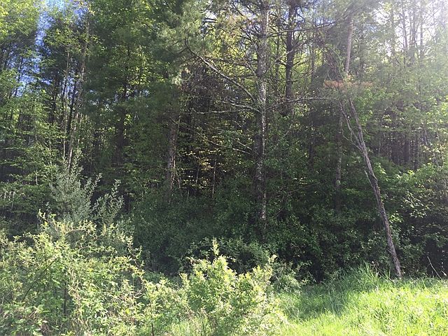 2nd image of 8 Marthas Knob