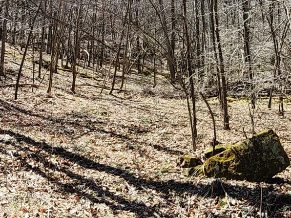 795 Little Mountain Dr #D2-2, Hillsboro, WV 24946