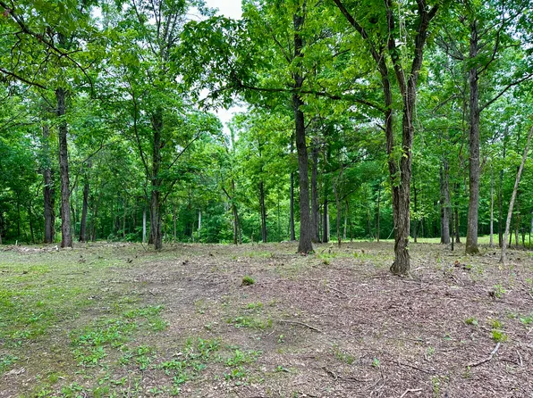 000 Leuckel Drive, Van Buren, MO 63965