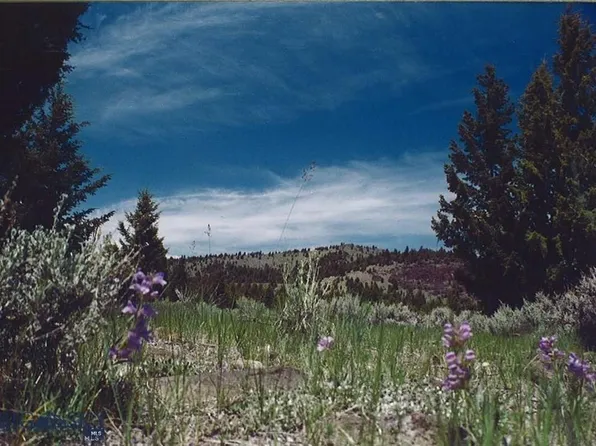 Lookout Trl, Butte, MT 59701
