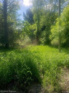 0 Richardson Rd, Howell, MI, 48843