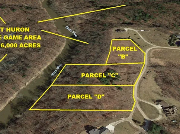 0C Log Cabin Ln, North Street, MI 48049