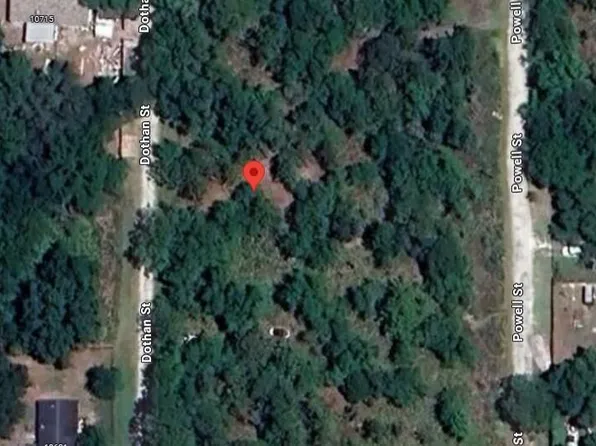 10654 Dothan Street, New Port Richey, FL 34654