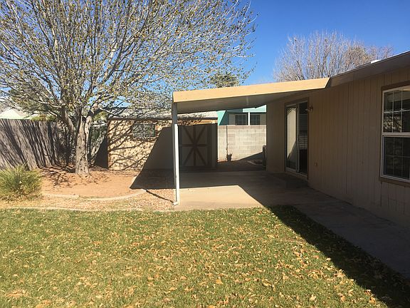 Covered Patio/Storage Shed