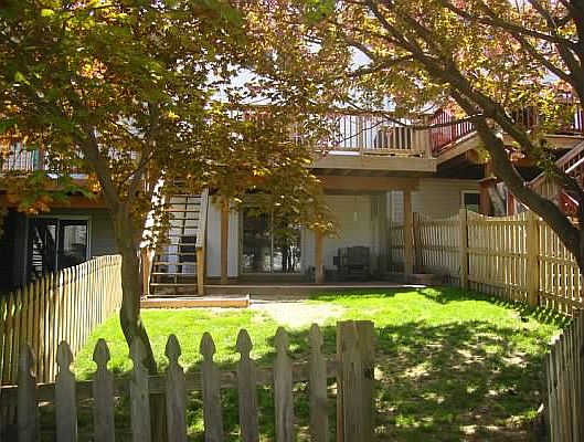 Back yard