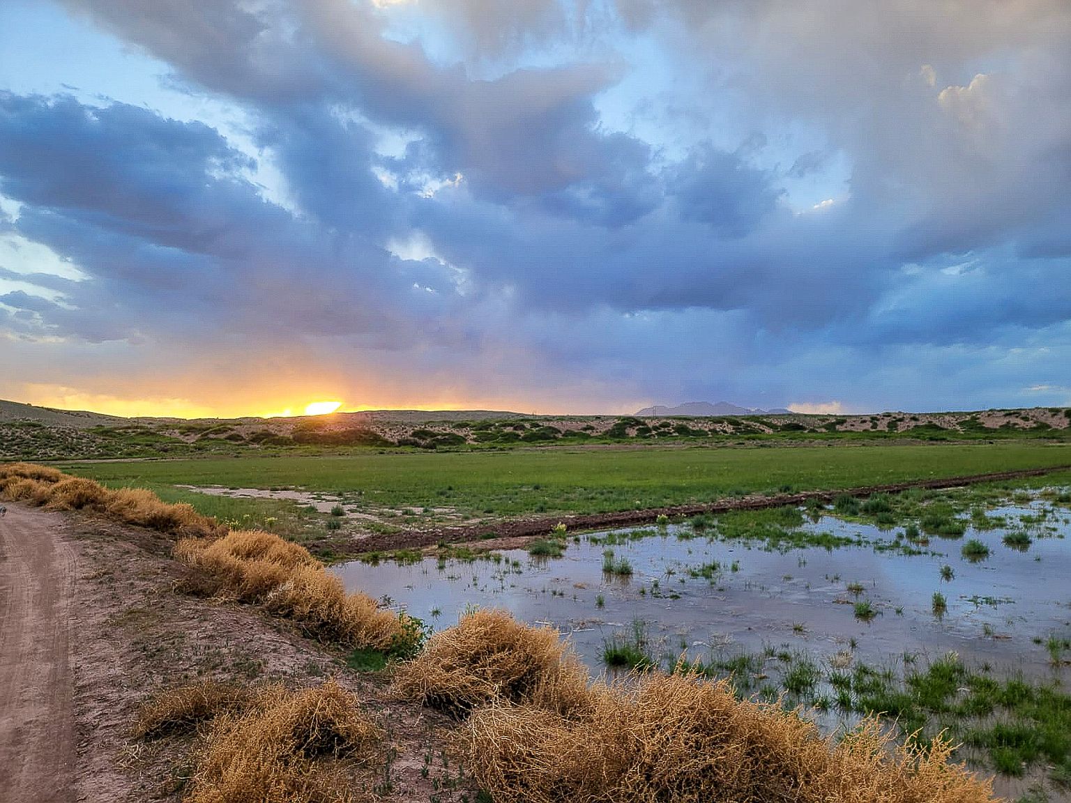 Sevilleta Hills Elk Rnch, San Acacia, NM 87831 MLS 202341925 Zillow