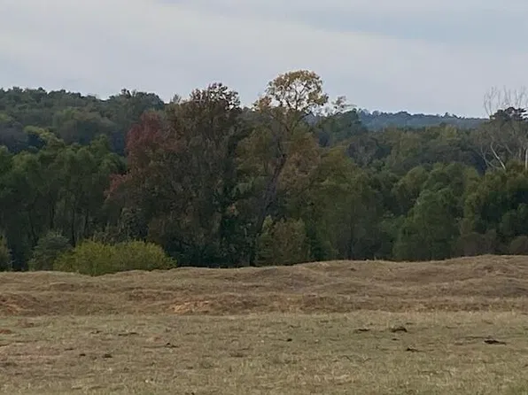 Fm 315, Palestine, TX 75803