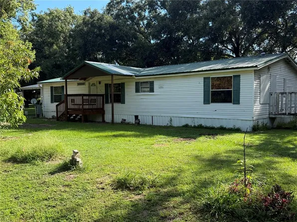 1107 Carmichael Pl, Dover, FL 33527