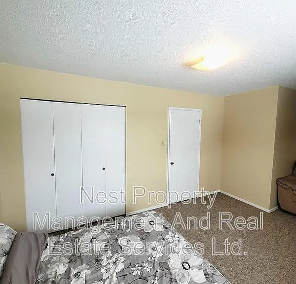 54 Little Wedeene St #1 — Photo 10