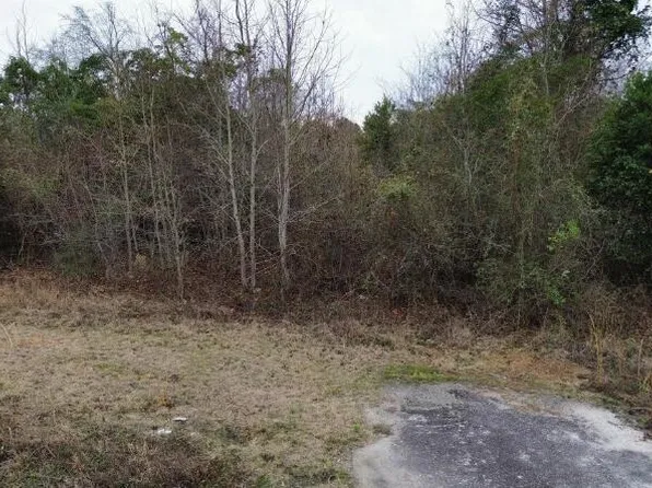 250 Tinker Creek Road, Williston, SC