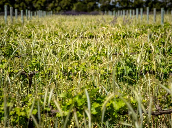 10925 248th St Lot P, Maple Ridge, BC V2W 1G7