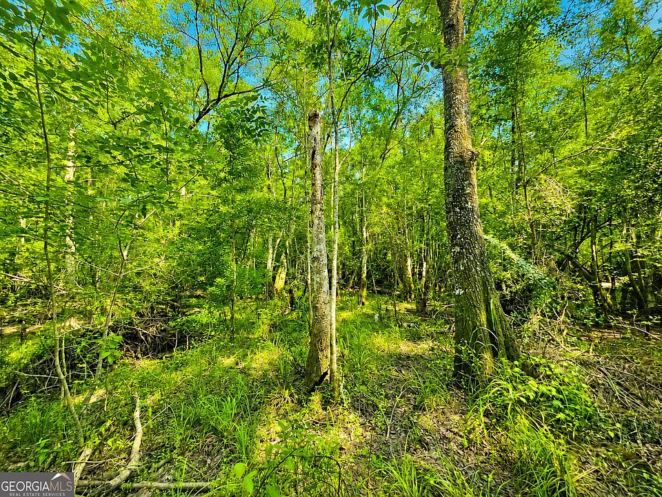 2nd image of 0 Herrin Lake Rd