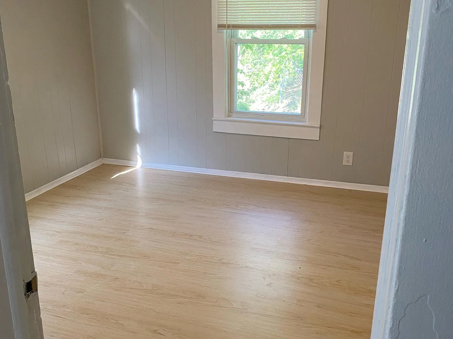 1 bed, 800 sqft, $790 — Photo 3