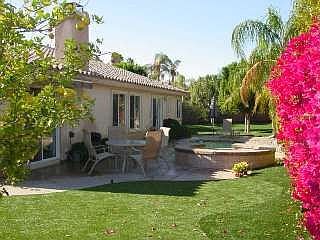 Backyard, west side