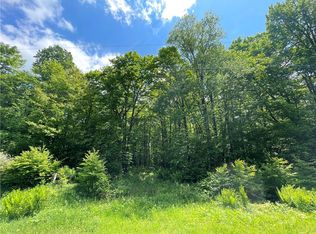 0 N Dam Rd, Winter, WI 54896