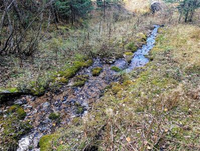 48 Acres Forbes Road, Fort Garland, CO, 81133