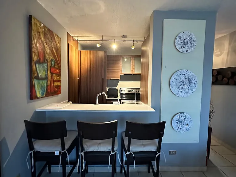 1555 Calle Martin Travieso #402 — Photo 13