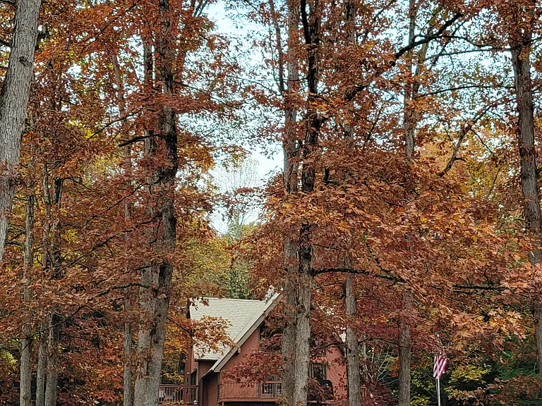 278 Forest Rd — Photo 5