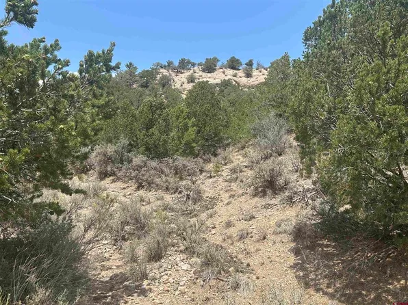 Lot 2653 Slegers Road, Fort Garland, CO 81133
