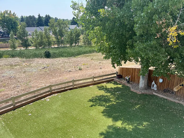 Beautiful, mature trees in backyard