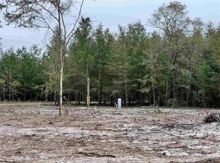 624 SE Pow Wow St, Lee, FL 32059