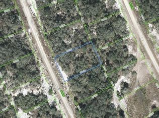 223 Sunway Dr, Lake Placid, FL 33852
