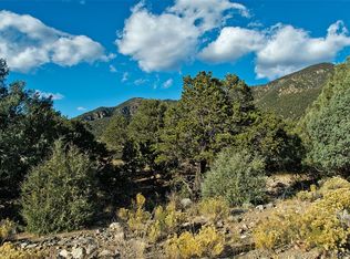 3558 Double Tree Overlook #OL, Crestone, CO 81131