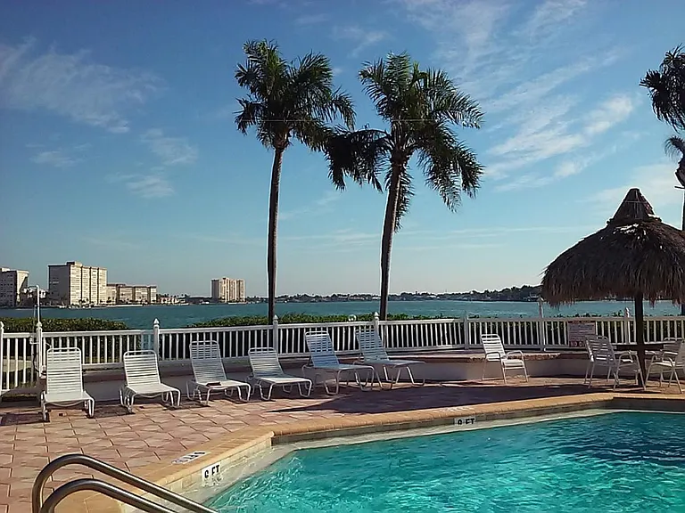 Tampa Bay Veiw from the Pool